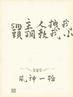 sm主人拽我奶头调教我小说