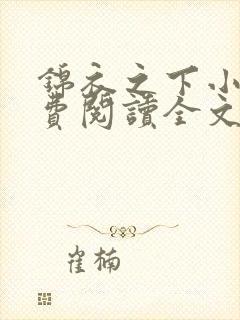 锦衣之下小说免费阅读全文无删减