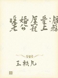 暖婚厚爱:腹黑老公宠上瘾小说