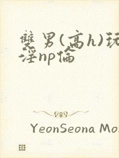 双男(高h)玩淫np伦