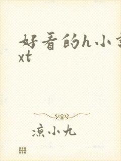 好看的h小说txt