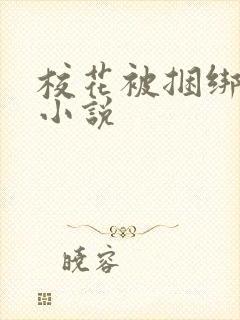 校花被捆绑调教小说封面