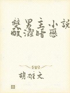 双男主小说推荐酸涩暗恋封面