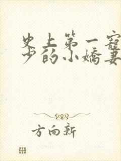 史上第一宠婚慕少的小娇妻