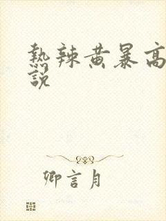 热辣黄暴高h小说