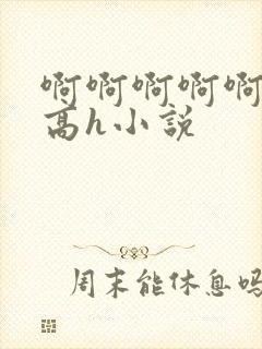 啊啊啊啊啊男男高h小说