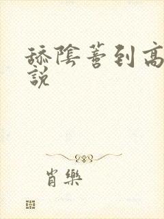 舔阴蒂到高潮小说