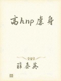 高hnp虐身
