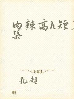 肉辣高h短篇合集封面