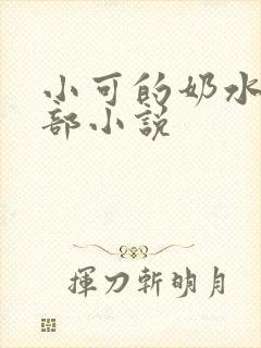小可的奶水第二部小说