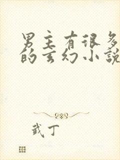 男主有很多女人的玄幻小说