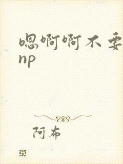 嗯啊啊不要高hnp