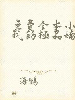 免费全本小说,我的极品娇妻