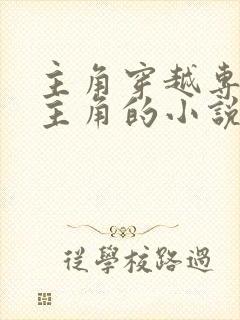 主角穿越专门杀主角的小说