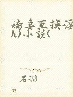 娇妻互换淫欢(h)小说(