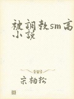 被调教sm高h小说