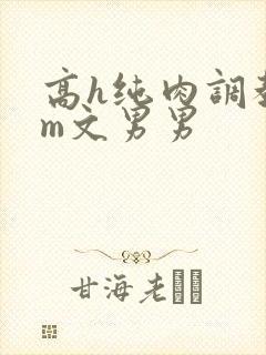 高h纯肉调教sm文男男