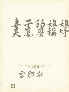 妻子的姐姐的丈夫怎么称呼封面