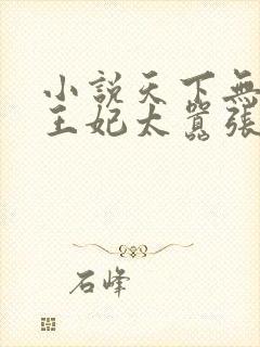 小说天下无双之王妃太嚣张