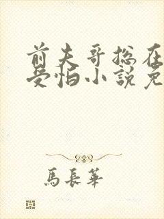 前夫哥总在担惊受怕小说免费阅读全文封面