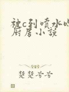 被c到喷水嗯h厨房小说封面