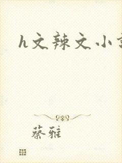 h文辣文小说