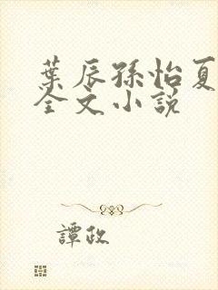 叶辰孙怡夏若雪全文小说