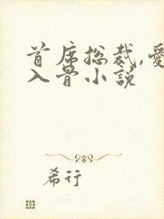 首席总裁,爱你入骨小说