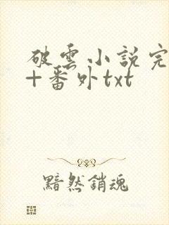 破云小说完整版+番外txt