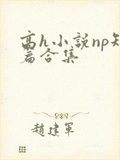 高h小说np短篇合集