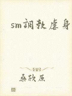 sm调教虐身文