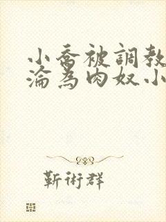 小乔被调教喷水沦为肉奴小说