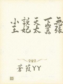 小说天下无双:王妃太嚣张