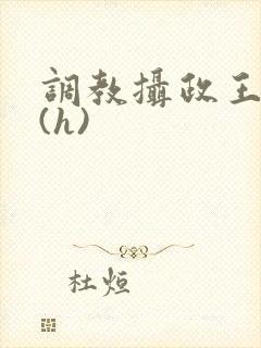 调教摄政王sm(h)