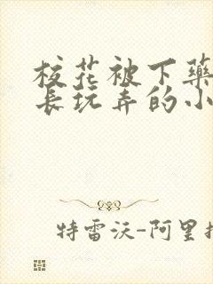 校花被下药被校长玩弄的小说