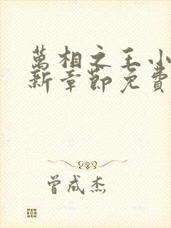 万相之王小说最新章节免费