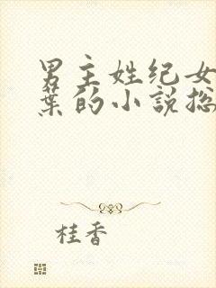 男主姓纪女主姓叶的小说总裁文