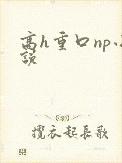 高h重口np小说