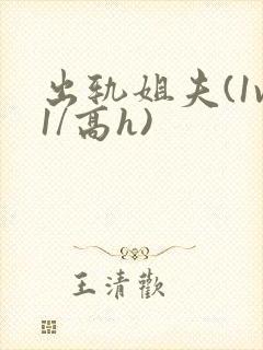 出轨姐夫(1v1/高h)