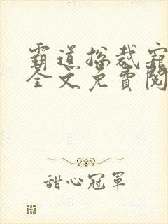 霸道总裁宠定你全文免费阅读封面