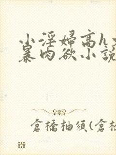 小淫妇高h文黄暴肉欲小说