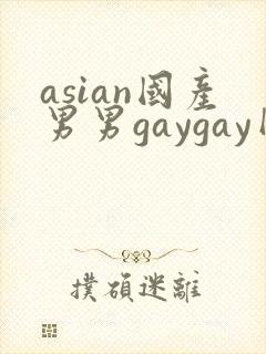 asian国产男男gaygay网站