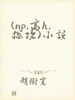 (np,高h,总攻)小说
