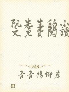 阮先生的小说全文免费阅读无弹窗