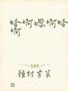 哈啊嗯啊哈啊嗯啊