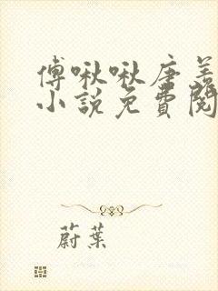 傅啾啾唐羡穿越小说免费阅读封面