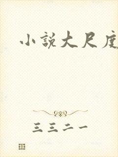 小说大尺度h