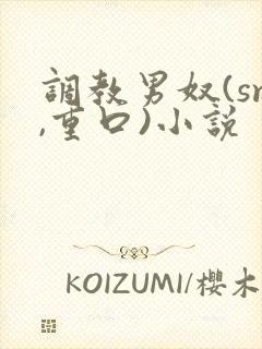 调教男奴(sm,重口)小说封面