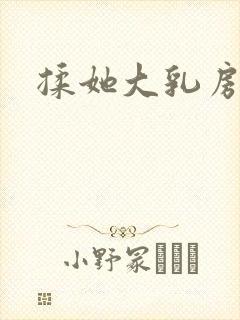 揉她大乳房小说