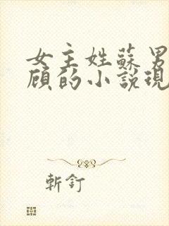 女主姓苏男主姓顾的小说现代言情